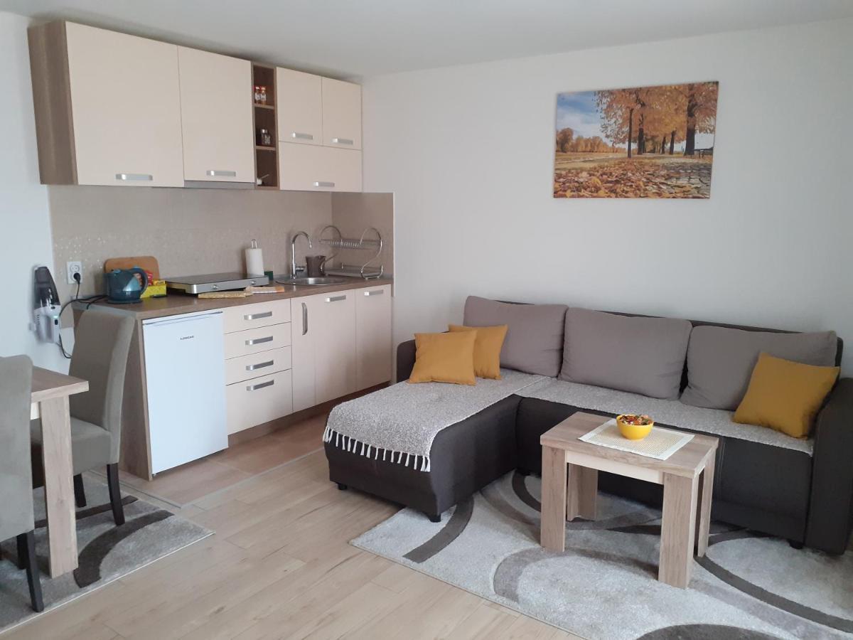 Apartman Nena Пірот Екстер'єр фото